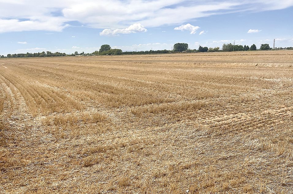 Managing drought from pivot to range