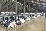 63670-halbach-barn.jpg