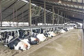 63670-halbach-barn.jpg 63670-halbach-barn.jpg