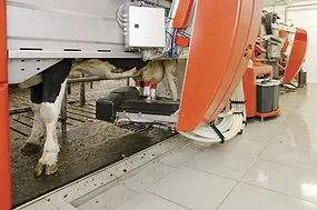 63669-meihak-milking-robot-getty.jpg