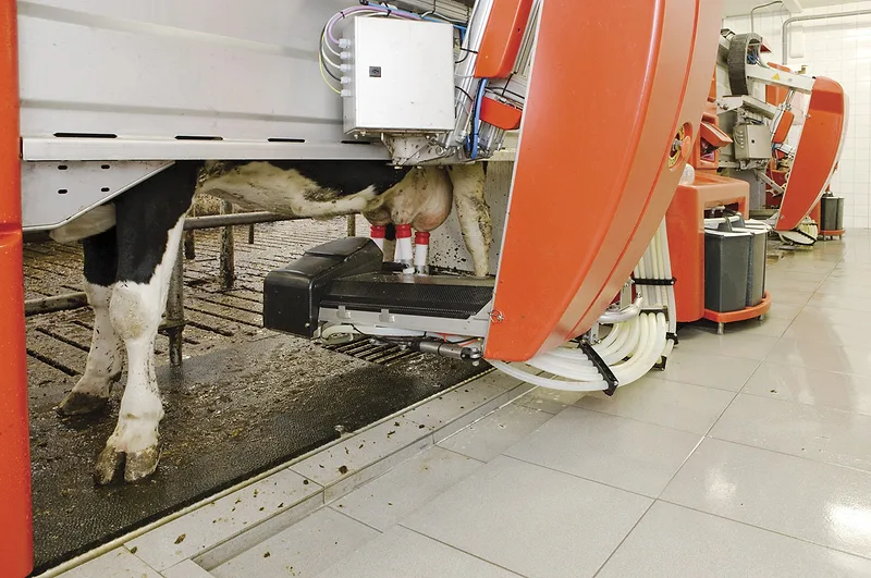 63669-meihak-milking-robot-getty.jpg
