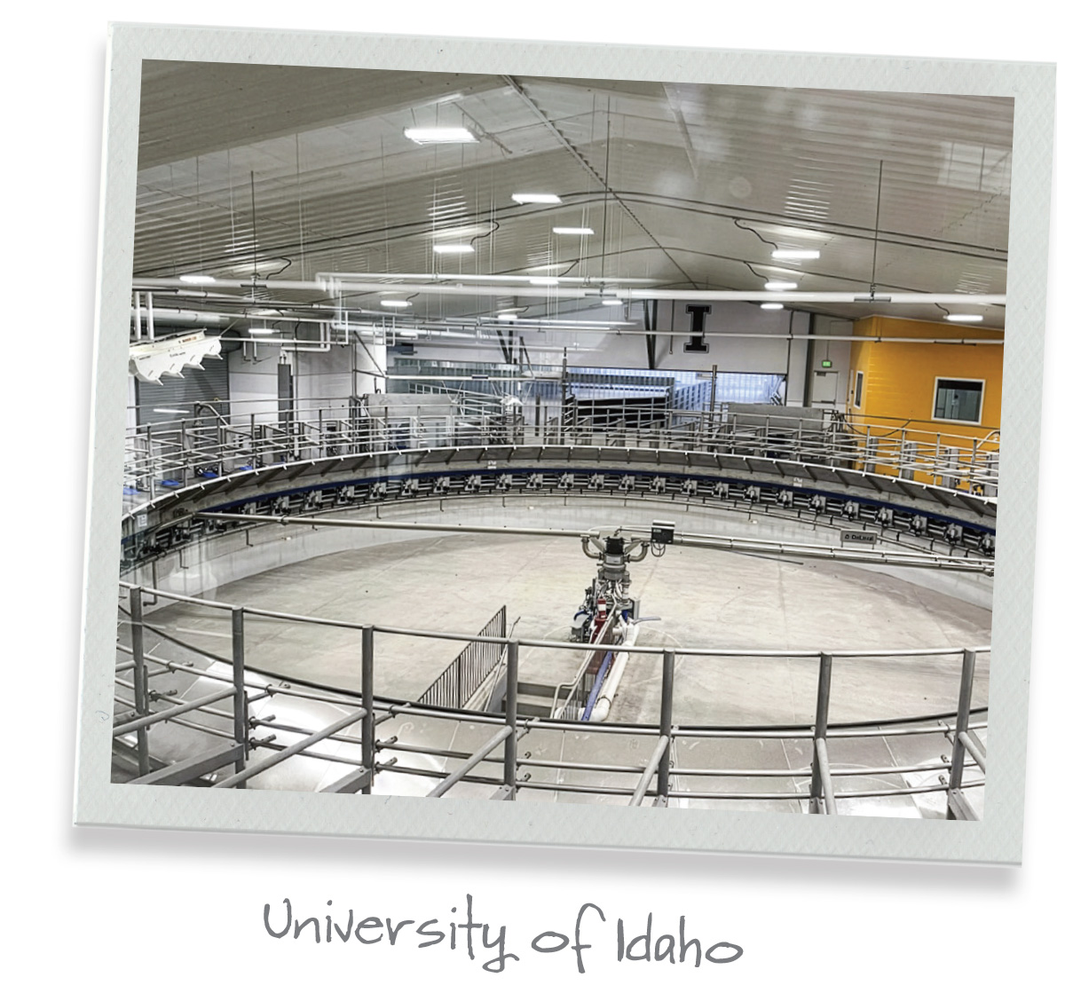 63680.DEVANEY-idaho.jpg