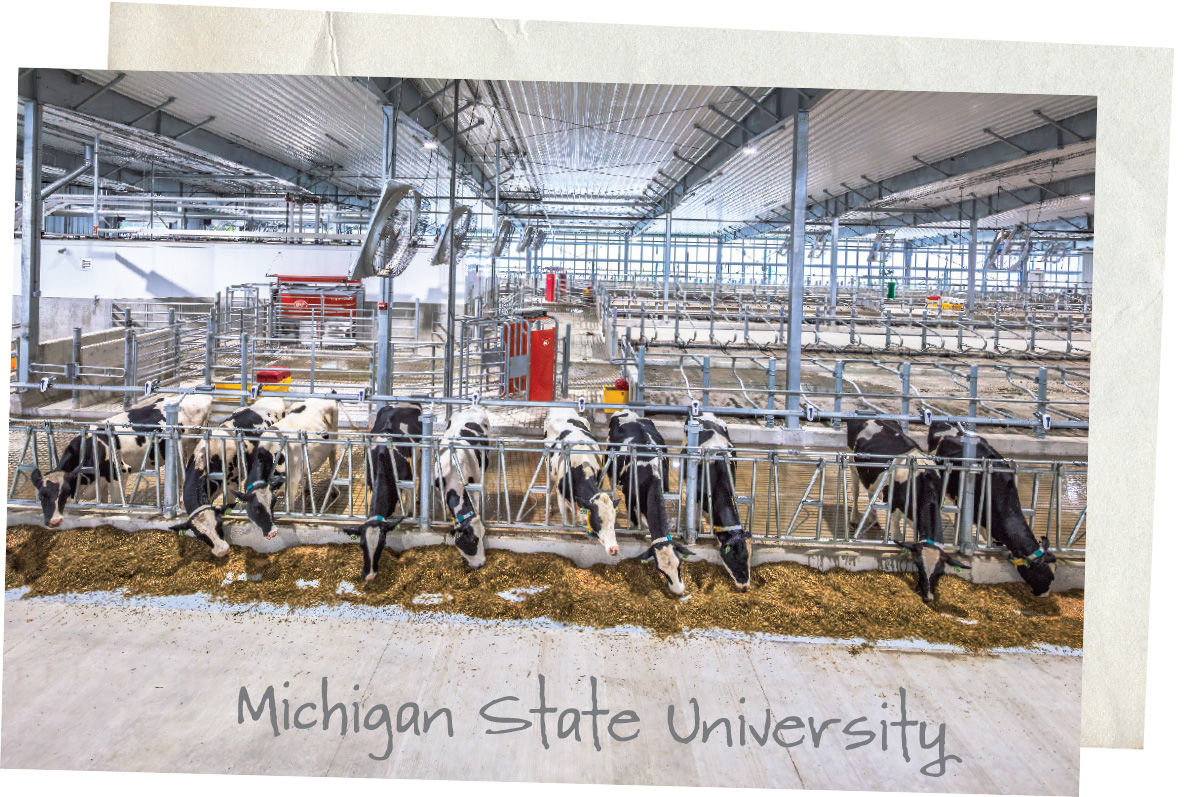 63680.DEVANEY-michigan.jpg