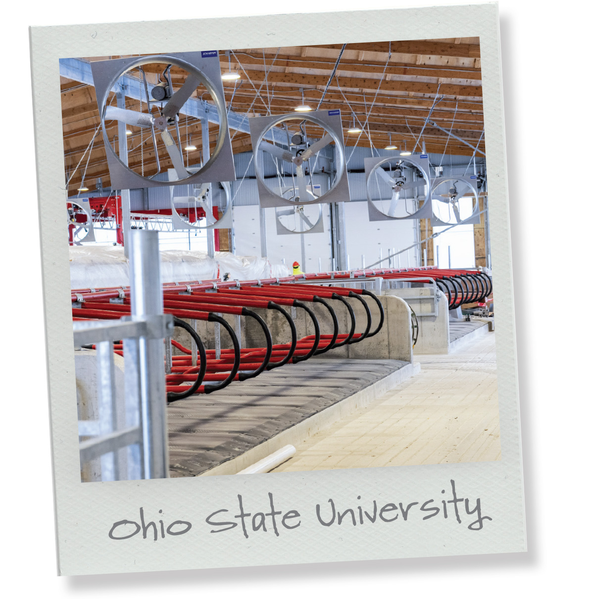 63680.DEVANEY-ohio.jpg