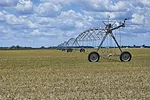 63731-lee-cover-crop.jpg