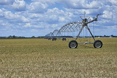 63731-lee-cover-crop.jpg
