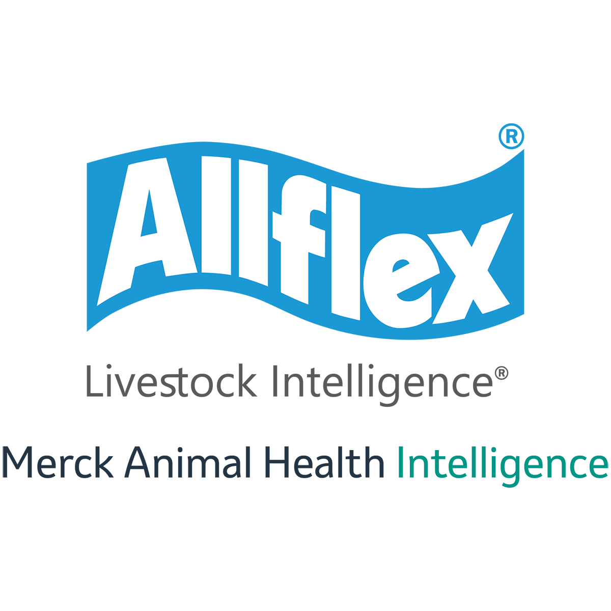 Allflex-MAHI-DT-en-1200.png