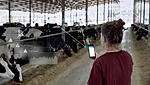 Merck Animal Health