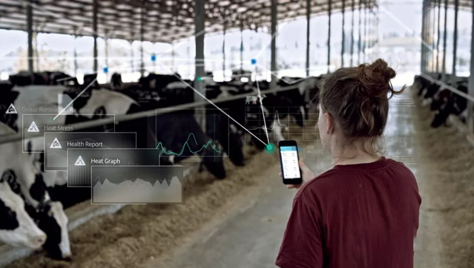 Merck Animal Health