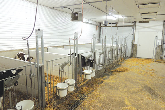 Wolfe family cow facility
