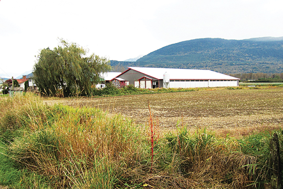 Boa Vista Farm