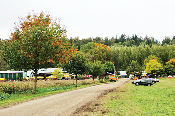 Aldor Acres Dairy Centre