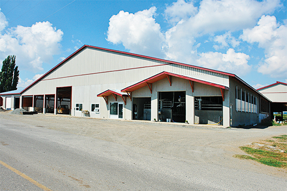 Dykshoorn Farms