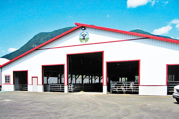 Driessen Farms