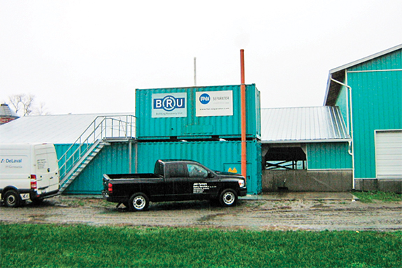 Mardelen Holsteins