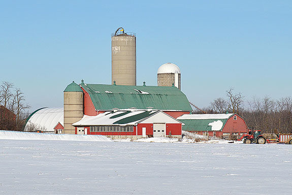 Peartome Holsteins farm buildings