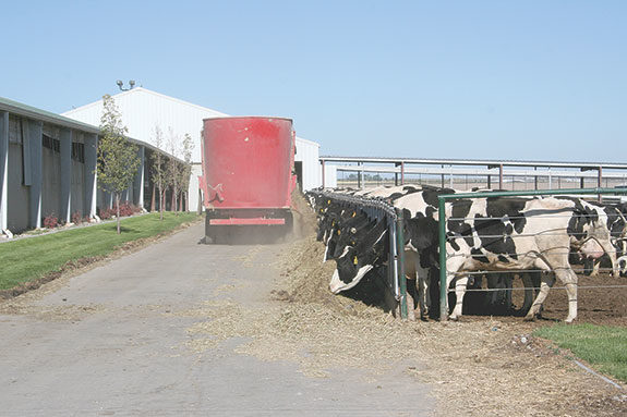 Feed management technology