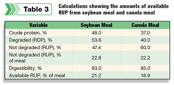 Calculations showing the amounts of available RUP from soybean meal and canola meal