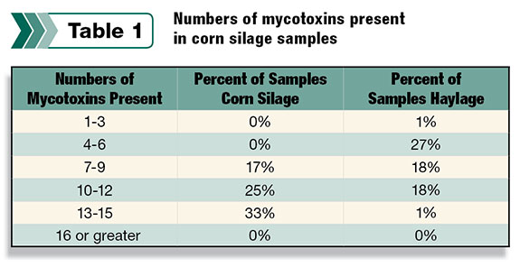 Numbers of mycotoxins present in corn silage samples