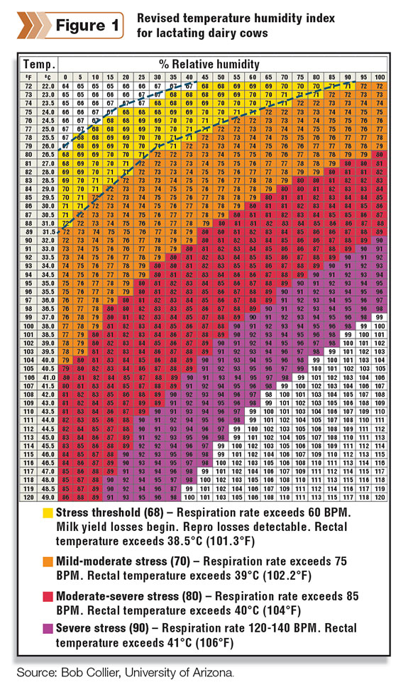 Revised temperature humidity index for lactating dairy cows