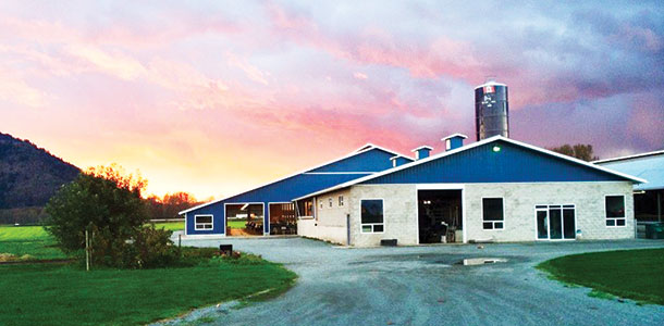 PJV Farms Ltd