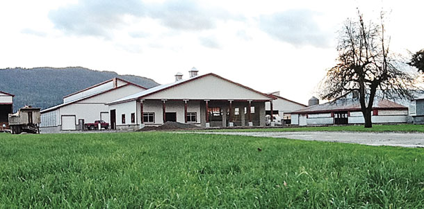 North Bank Dairy Farms Ltd
