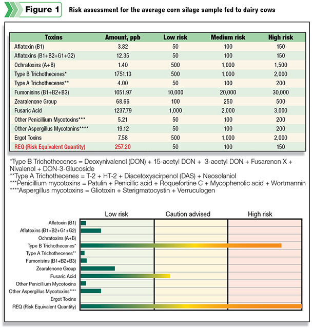 Risk Assessment for the average core silage sample