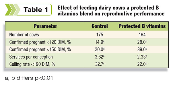 Effect of feeding diary cow a protected B vitamin