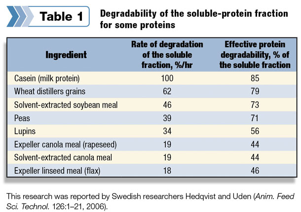 Degradability of the soluble-protein 