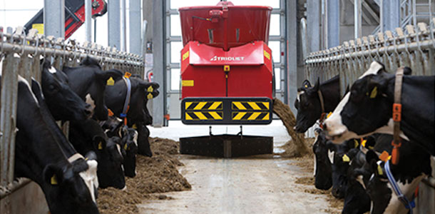 Trioliet Triomatic Automatic Feeding System