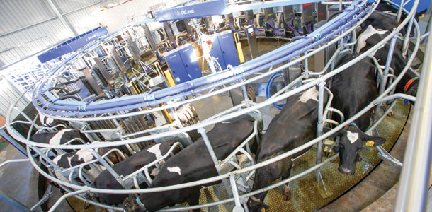 DeLaval rotary milker