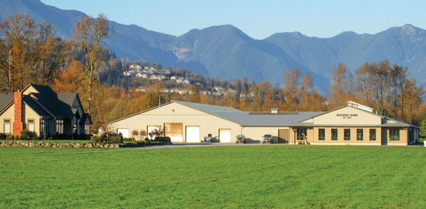 rosebrin farms