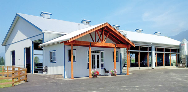 weststar Holsteins