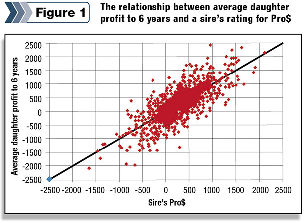 dairy cow sire/daughter relationship
