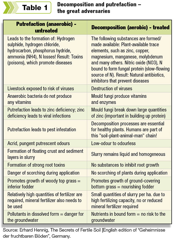 putrefaction and decomposition