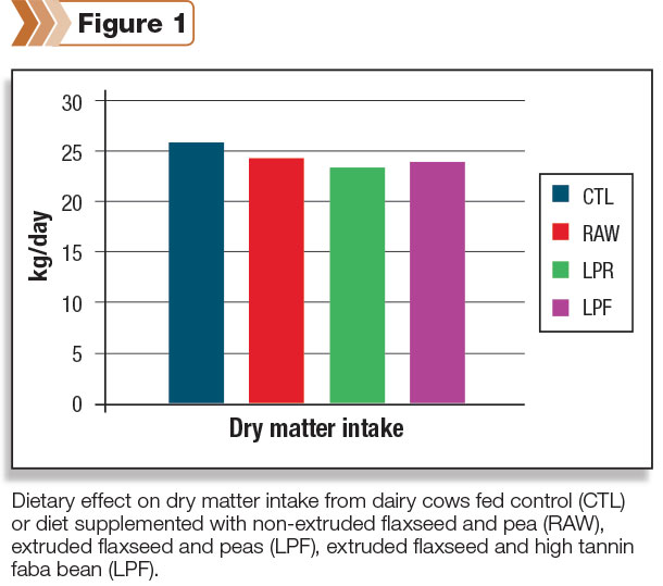 dry matter intake