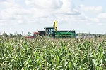 tractor in corn field