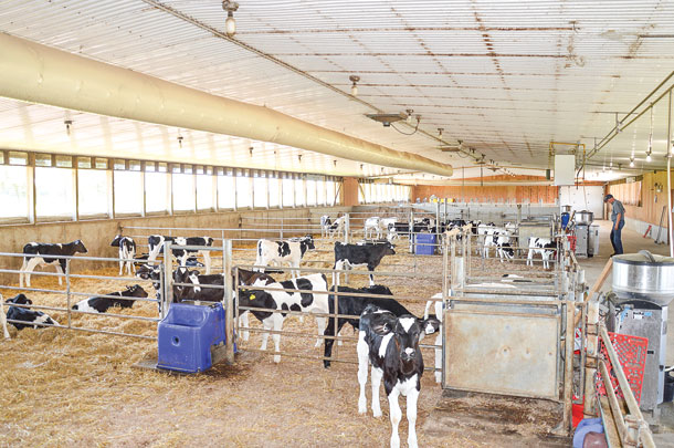 calf barn