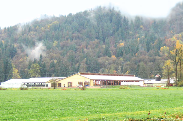 dale jerseys dairy
