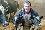 Tim May with calves