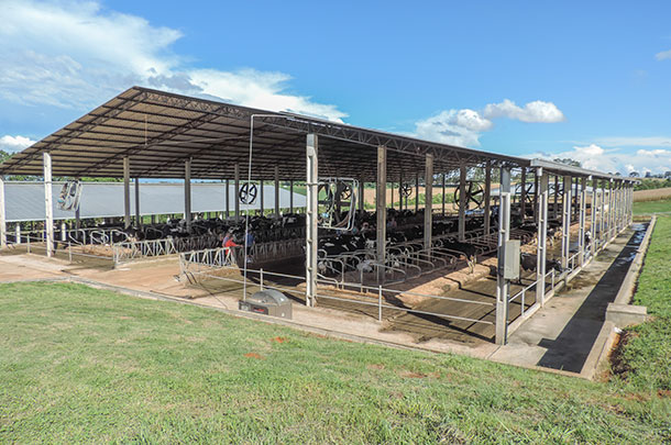 Fazenda Cipo barn