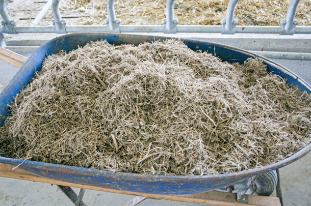 soybean stubble bedding