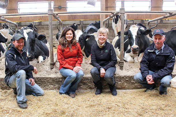 Ulmar Holsteins
