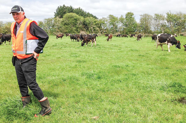 A representative of Dairy NZ stands in a future arm plot