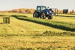 Farm Field