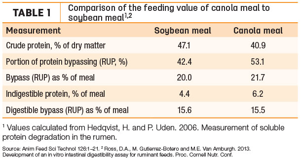 Comparison of the feeding value of canola meal to soybean meal