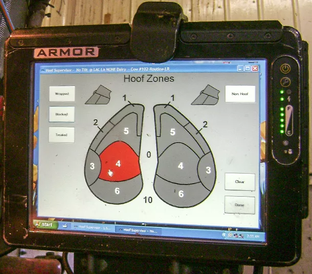lesion recording system