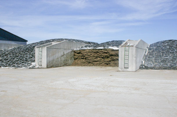 stored feed