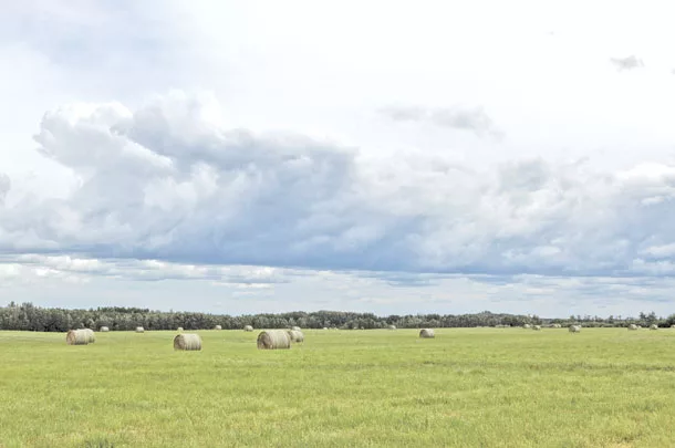 Farmland 