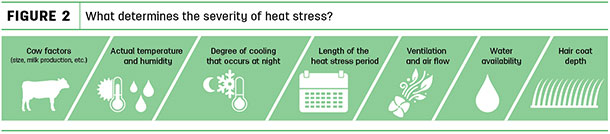 What determines the severity of heat stress?